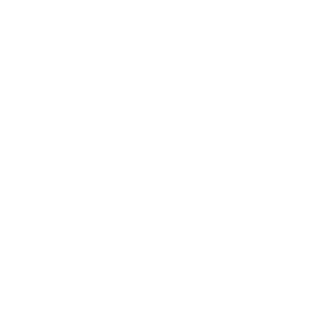 Zdolnaja logo
